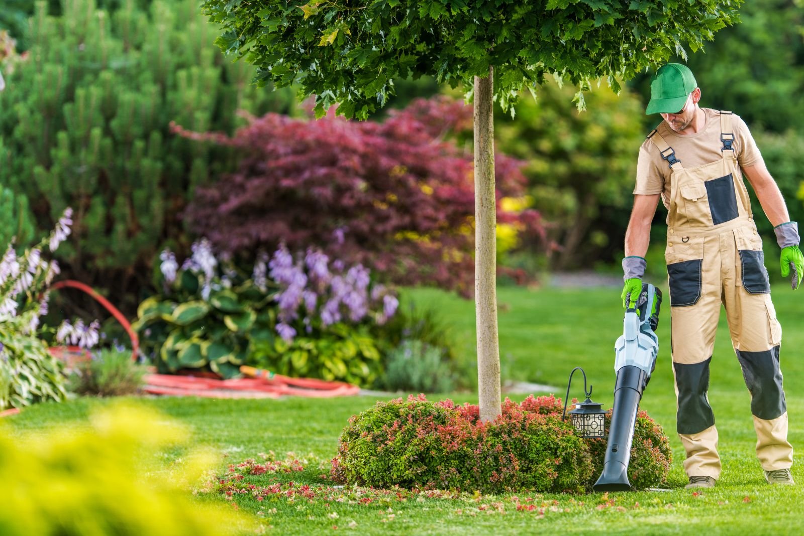 Usluge ciscenja okucnice